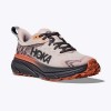 HOKA CHALLENGER ATR 7 GTX 1134502F CLX ΠΕΡΛΑ