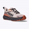 HOKA CHALLENGER ATR 7 GTX 1134502F 1134502F CLX ΠΕΡΛΑ