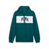 PUMA SQUAD HOODIE 681796 22 ΠΕΤΡΟΛ