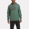 REEBOK IDENTITY FLEECE BIG LOGO 100205965 XAKI