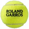 WILSON ROLAND GARROS CLAY COURT X 4 WRT115000